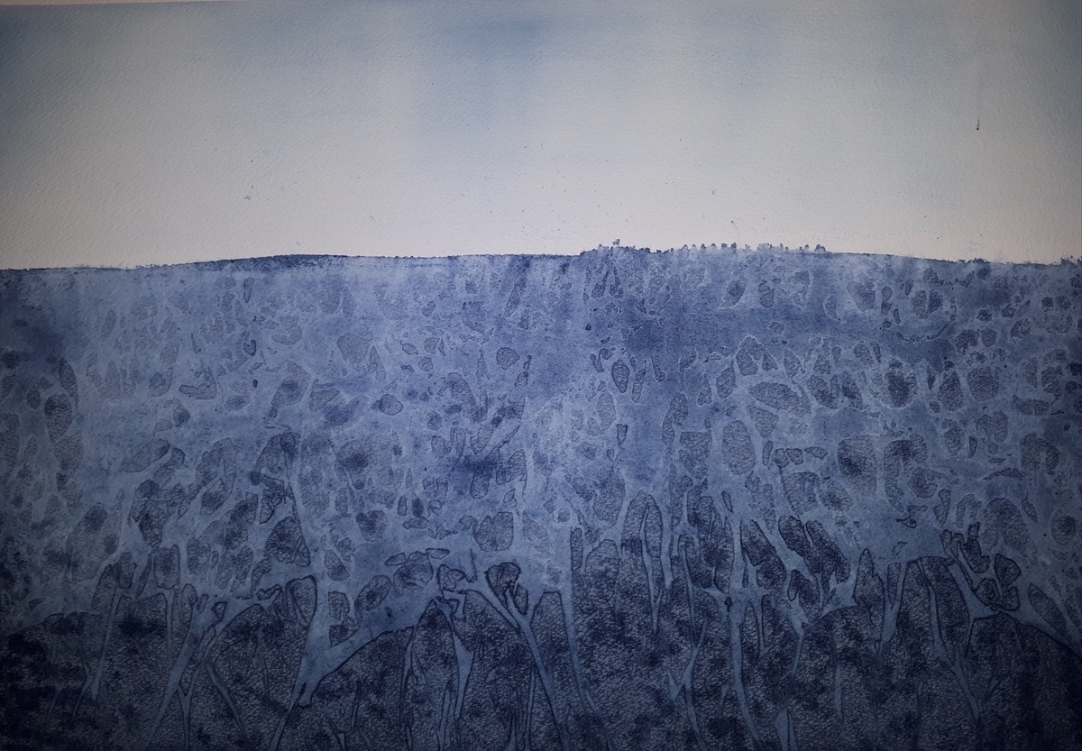 Arktis Ocean, 53 x 36 cm, 166